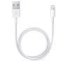 Apple Lightning to USB Cable 1m